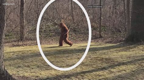 Tribes Battling Lineup Potential Bigfoot Sighting And More In