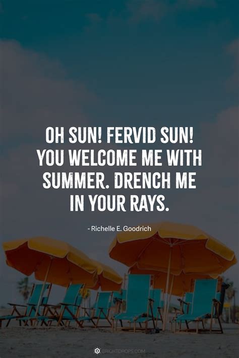 88 Funny Summer Quotes for Instagram - Bright Drops