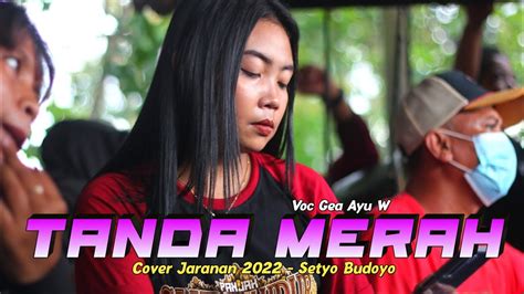 Tanda Merah Gea Ayu Jaranan New Setyo Budoyo Terbaru Youtube