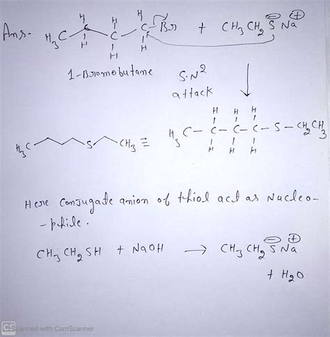 Solved Draw The Nucleophile That Reacts With Bromobutane To Produce