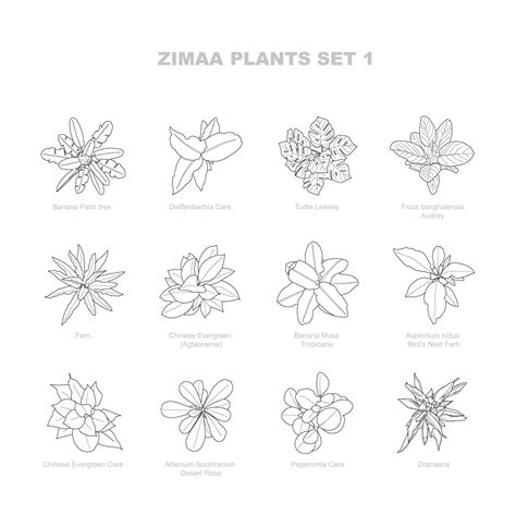 Vector Plants Top view / Set 01 in 2023 | Top view, How to plan, Vector flowers