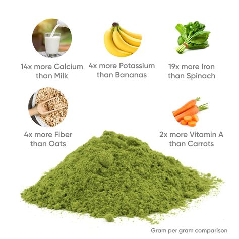 Sk Organic Moringa Powder Leaf Powder Powerful Vitamins And Antioxidants