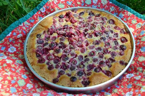 Gâteau aux canneberges original et gourmand