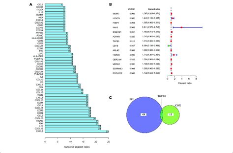 Univariate Cox Regression Analysis Of Degs A The Top 50 Genes Download Scientific Diagram