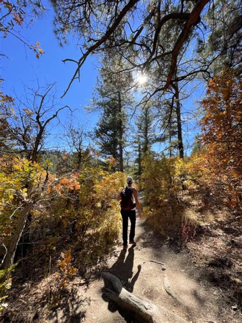 Discover The Best Hiking Trails Near Colorado Springs In Castlewood