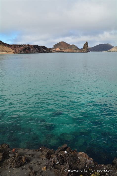 Snorkeling at Bartolome Island | Snorkeling the Galápagos Islands