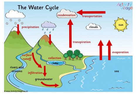 Water Cycle Mrs Marcusse S Classroom