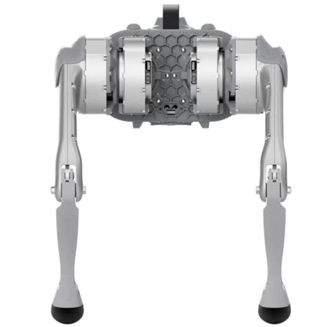 Unitree Go Pro Bionic Quadruped Robot