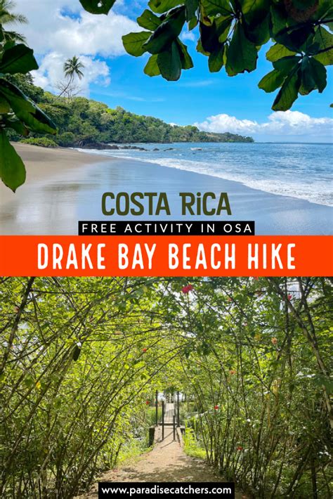 Beach Hike: The Best FREE Activity in Drake Bay – Paradise Catchers