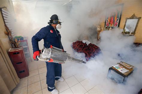 M S De Viviendas Ser N Fumigadas Contra El Dengue En Chiclayo