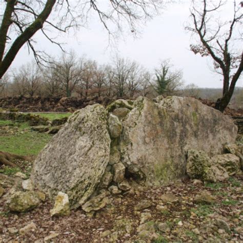 Dolmens De Saillac Mus E Du Patrimoine De France