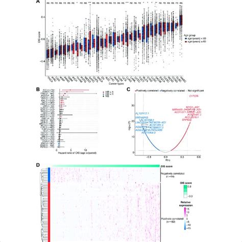 Identification Of Ois Related Lncrnas In Hcc A Oncogene Induced