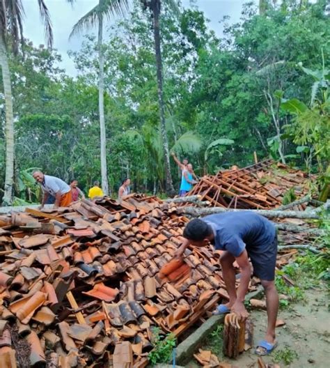 Bpbd Way Kanan Ungkap Rumah Alami Kerusakan Akibat Hujan Disertai