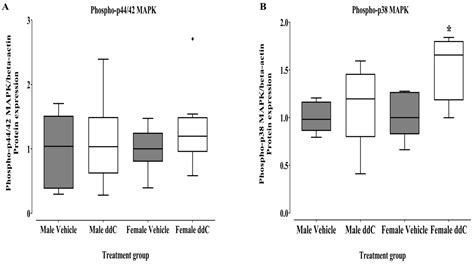 Biomedicines Free Full Text Sex Differences In The Expression Of Neuroimmune Molecules In