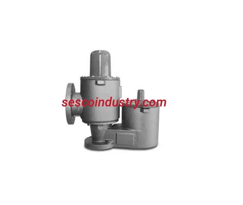 Pressure Vacuum Relief Valve Spring Loaded Model