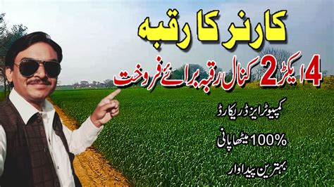 Agriculture Land For Sale In Punjab Pakistan Zari Raqba Cheap Price