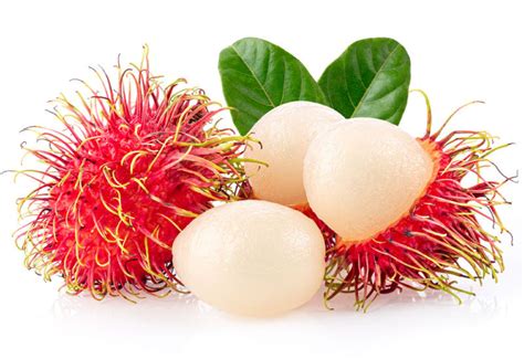 Rambutan How To Eat It And What Does It Taste Like 51 Off