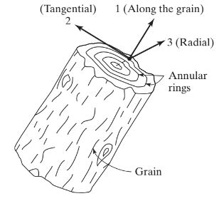 orthotropic-material-wood-example-01 | SkyCiv Engineering