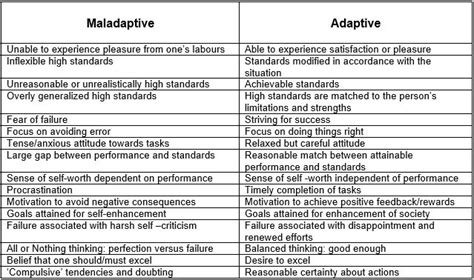 Perfectionism Exploring The Adaptive And Maladaptive Styles Cytoplan Blog