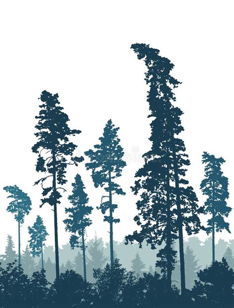 Coniferous Forest Silhouette Of Pine Trees Vertical Landscape Vector