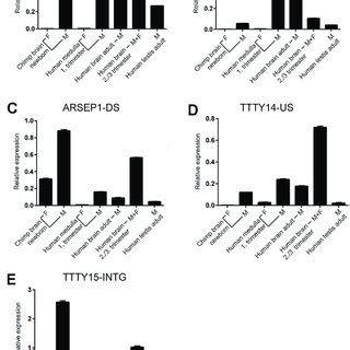 Y Chromosome Encoded Gametologs Display Multiple Features Of Sex