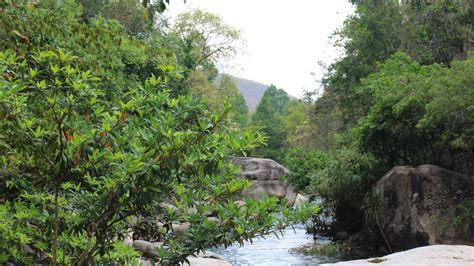 Cambodia Starts The Biodiversity Finance Plan United Nations