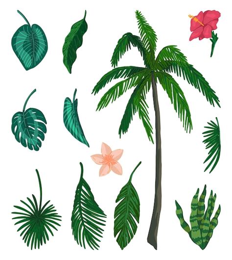 Premium Vector Tropical Flora Doodles Collection Set Of Exotic Leaves