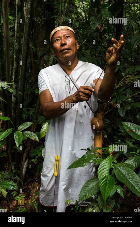 Secoya tribe at Secoya lodge Amazon basin alongside Aguarico river Tierras Orientales Ecuador ...