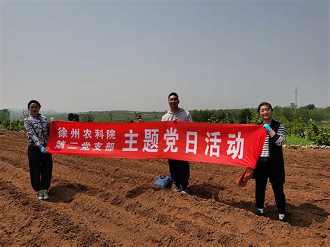 第二党支部第二党小组赴单集镇詹湖村开展科技服务活动 江苏徐淮地区徐州农业科学研究所，徐州市农业科学院，江苏徐州甘薯研究中心