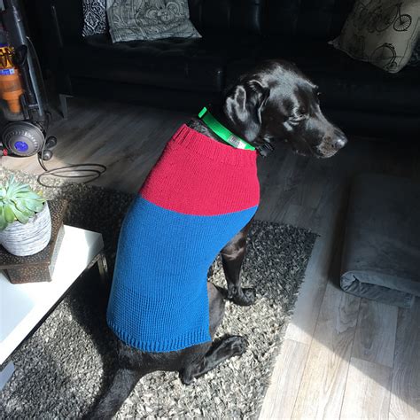 Ravelry: Color Blocked Dog Sweater pattern by Maggie Schott