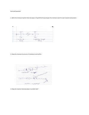 Ch Exp Lab Report Lab Report Exp Reactions Of Aldehydes And