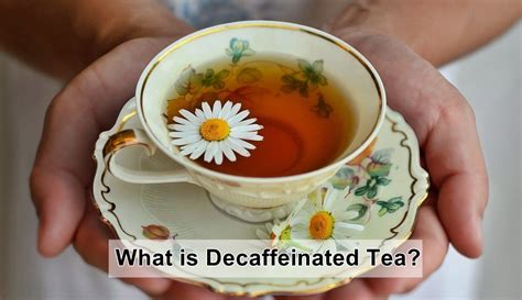 What Is Decaffeinated Tea And How Does It Taste? - Kitu Cafe