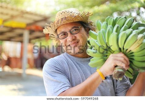 Bananas Farmer Hiding Bananas Organic Farm库存照片597049268 Shutterstock