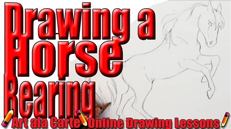 Drawing A Horse Rearing Step By Step Instructions Youtube