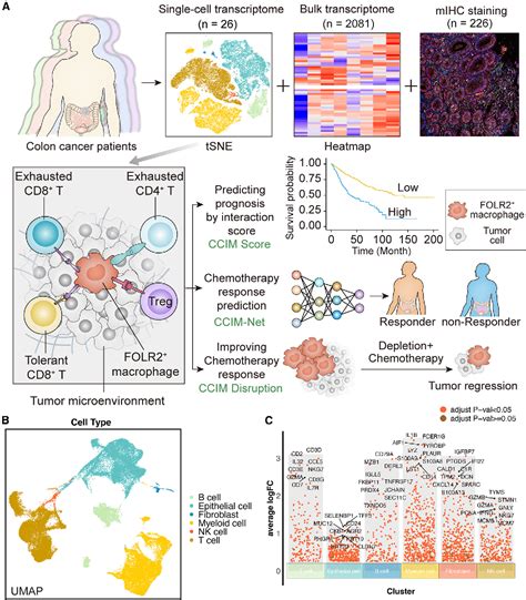 Figure 1 From A Multiomics Analysis Assisted Deep Learning Model