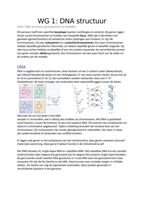 Werkgroep Wg Zso En Zso Uitwerkingen Van Wg Wg Dna Structuur