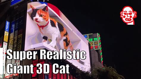 Must See Super Realistic Giant 3d Cat At Shinjuku Japan