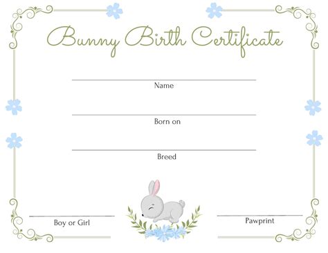 Bunny Birth Certificate Printable Rabbit Document Certificate Etsy