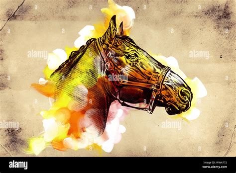 Original oil painting of a fine arabian horse Stock Photo - Alamy