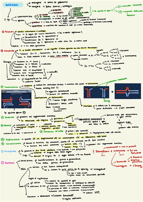 SOLUTION Genetica 2 Studypool