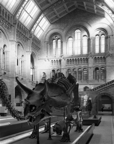 Natural History Museum Cromwell Road South Kensington London The Central Hall With Dinosaur