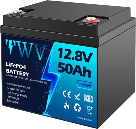 Twv V Ah Lifepo Lithium Battery Review Battery Skills