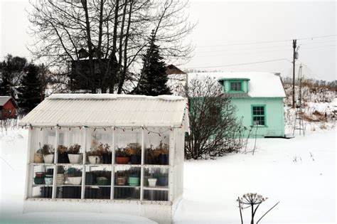 Quelle température obtient on dans une une serre en hiver