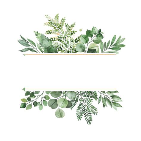 Green Leaf Border Clip Art Illustrations, Royalty-Free Vector Graphics ...