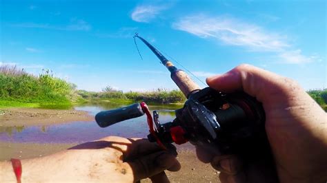 Pesca de TARARIRAS en un lugar hermoso PIQUES EN VIVO con señuelo