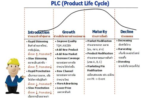 Product Life Cycle Plc Sexiz Pix