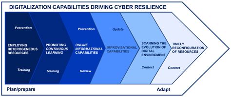 Digitalization Capabilities for Sustainable Cyber Resilience: A