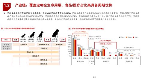 2022年宠物消费市场现状分析及乖宝宠物优势分析报告pdf 先导研报