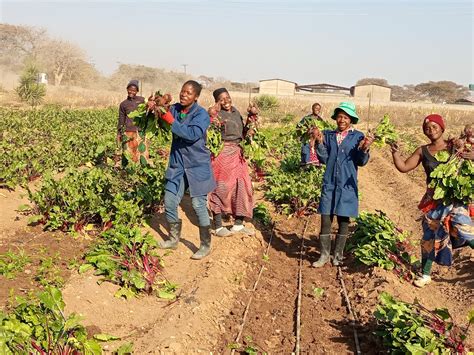 Hoffman Farms seasonal harvest brings fresh produce to tables 2