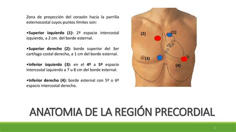 Reanimación Cardiopulmonar Básica RCP PPT